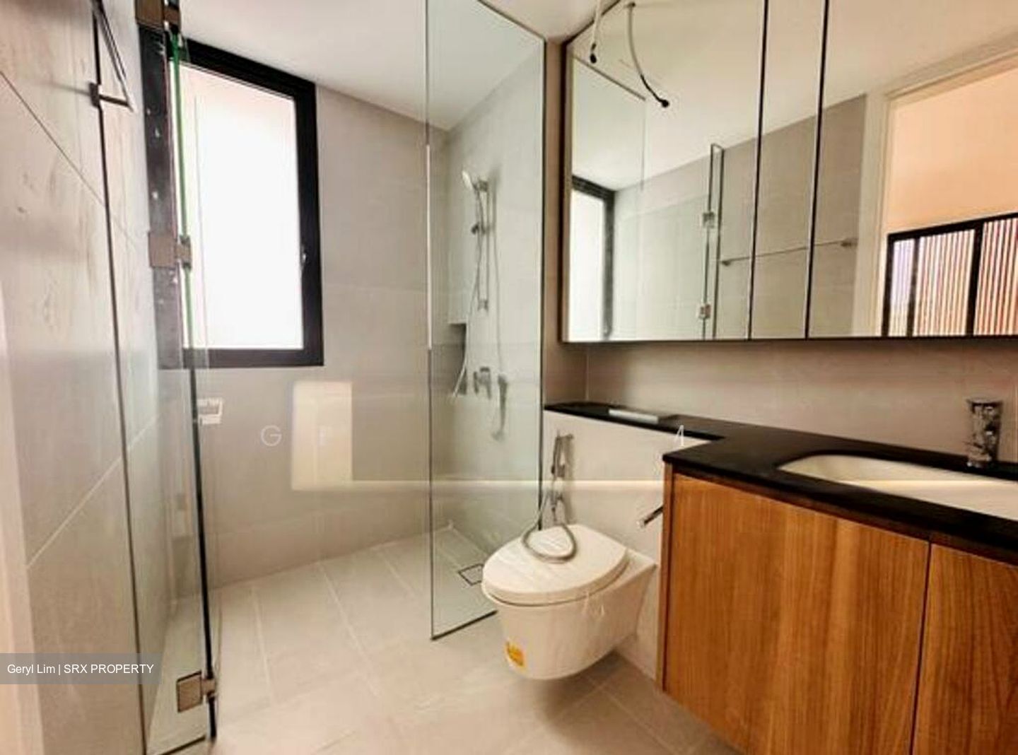 Hock Seng Park (D21), Detached #517063131